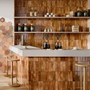Colorado Cotto Porcelain Tile 6x25cm Gloss
