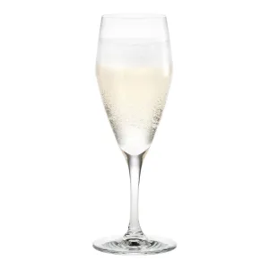Perfection Champagne Glass - Set of 6