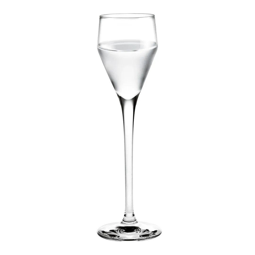 Perfection Shot Glass - Set of 6