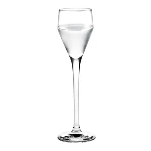 Perfection Shot Glass - Set of 6